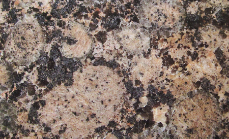 Imported Granite Baltic Brown Tiles