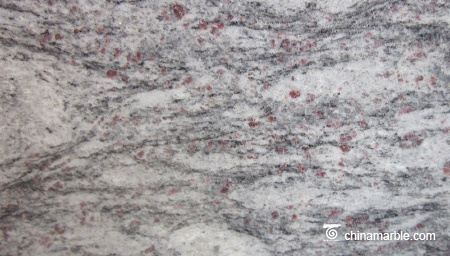 Imported Granite Santa Cecilia Tiles