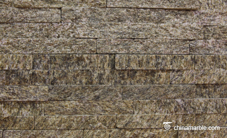 Tiger Skin Quartzite Wall Cladding CZW-39