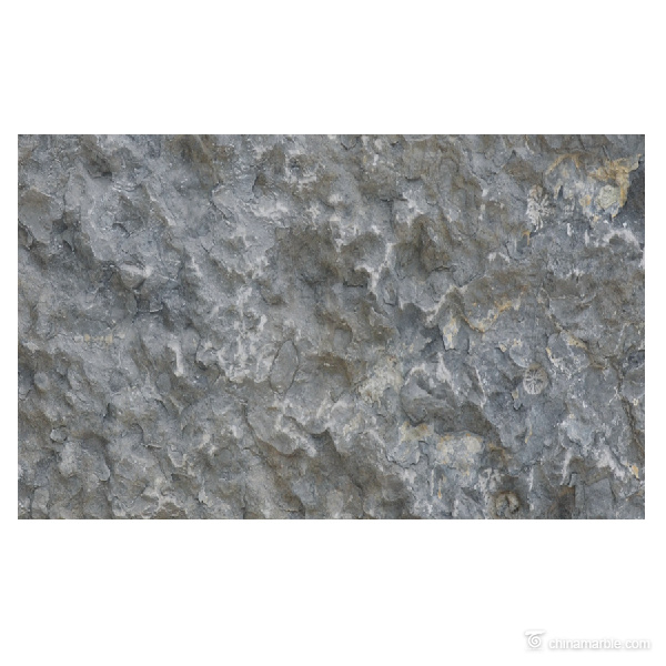 CHEAP Darkgray Marble Slab With Customized Best Prices