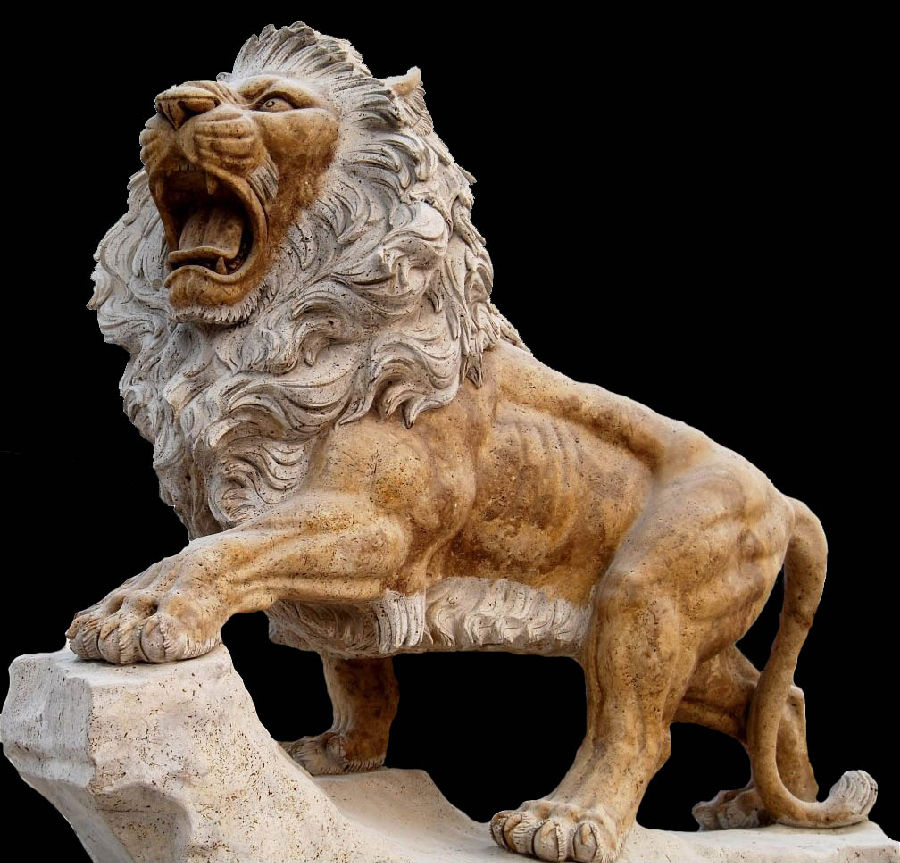 Yellow Stone Lion M-Lion-11.png