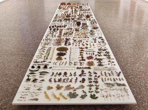 Simulated insect sculpture01.jpg