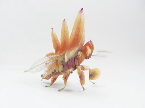 Simulated insect sculpture3.jpg