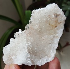 107G Chinese chrysanthemum stone NATURAL quartz crystal cluster point T71913