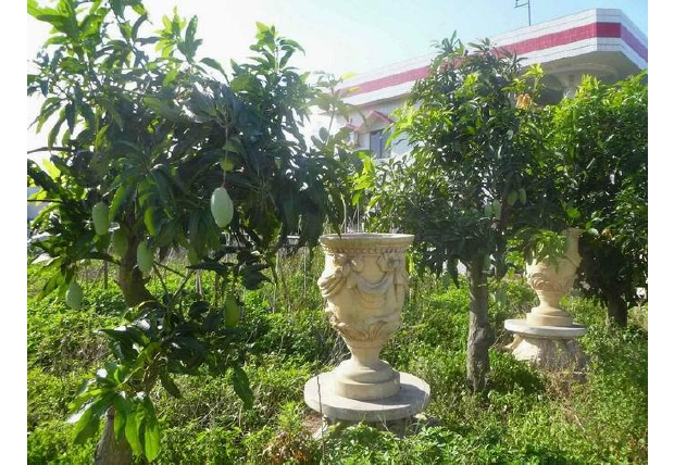 Flower Pot- "play" a