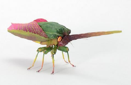 Japanese artist Hiroshi Shinno created simulation of insect 