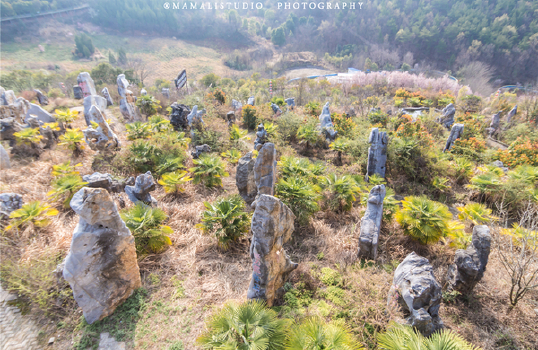 It is formed by limestone formed 400 million years ago