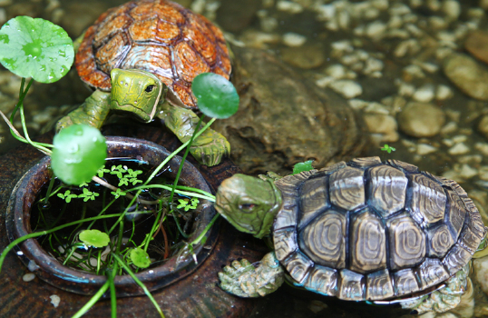 China Garden ornament-Exquisite garden ornament