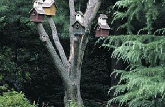 Garden ornaments|A bird motif creates a sense of unity