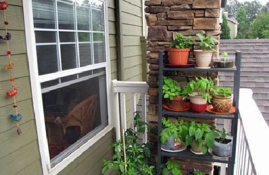 Cheap culture stone-8 small details to create a green sky ga