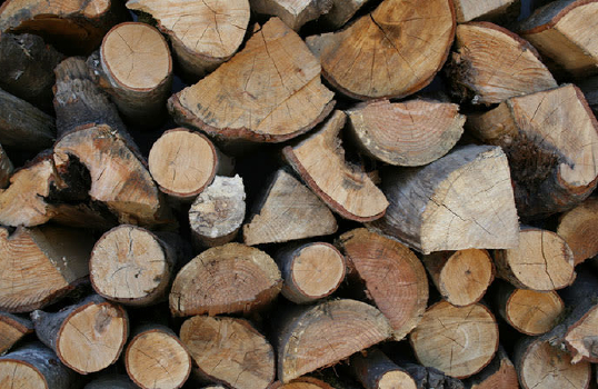 How to Pick the Best Firewood for Clean-Burning, Long-Lastin