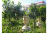 Flower Pot- "play" a